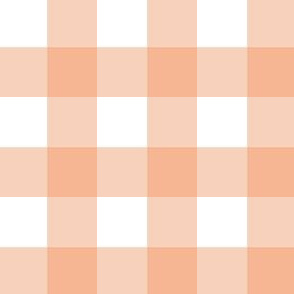 Pastel orange peach 2 inch gingham check