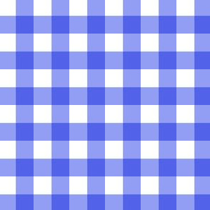 Periwinkle blue 1 inch gingham check