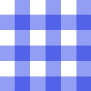 Periwinkle blue 2 inch gingham check