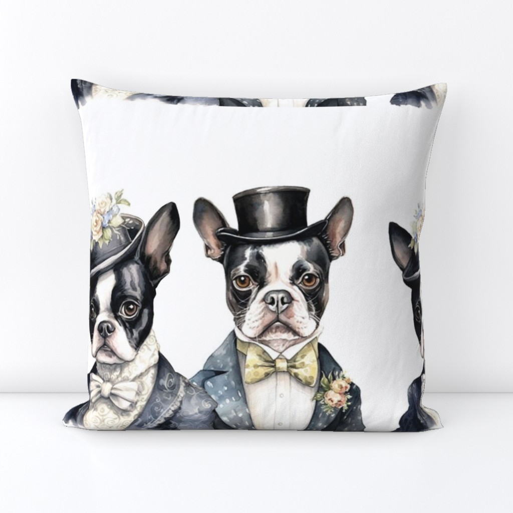 Boston Terrier Old West Couple man lady wife husband