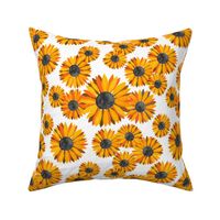 Sunflowers Pattern - Orange