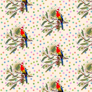 Australian Christmas Rosella - cream confetti, medium  