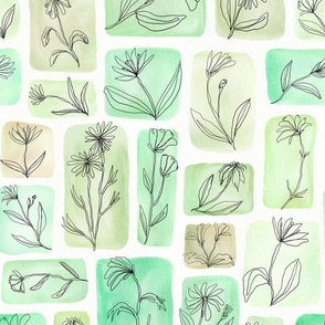 continuous line contour flowers on watercolor - green