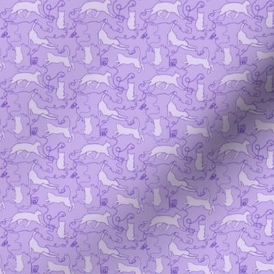 cats and string purple small