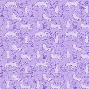 cats and string purple small