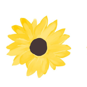 sunflowernew-ed