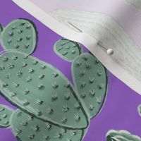 AZ Cacti on Amethyst