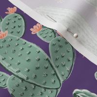 AZ Cacti - Blooming Dark Amethyst
