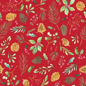 Christmas botanical nature decoration Red