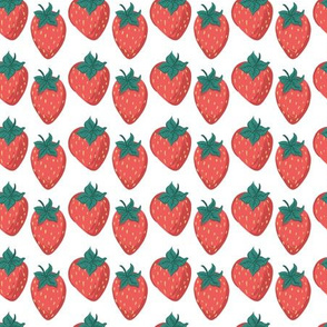 Strawberry Harvest: White