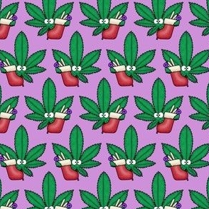 Cannabis With Christmas Stocking Purple