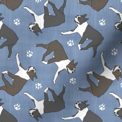 Trotting Boston Terriers and paw prints - faux denim