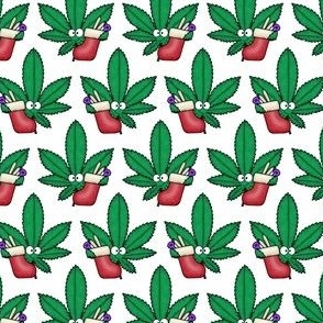Cannabis With Christmas Stocking White