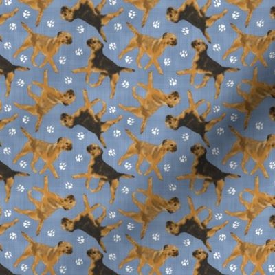 Tiny Trotting Border Terriers and paw prints - faux denim