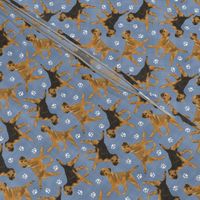 Tiny Trotting Border Terriers and paw prints - faux denim