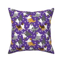 Trotting Shelties and paw prints - purple