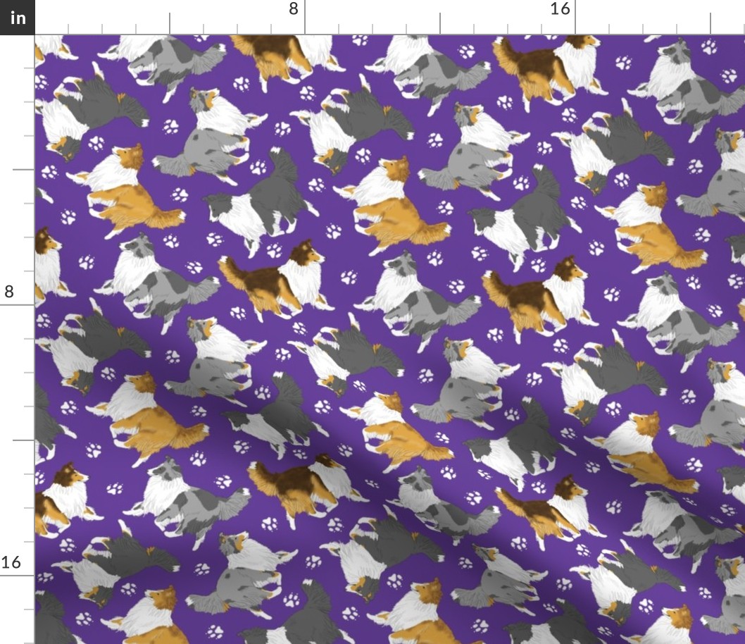 Trotting Shelties and paw prints - purple