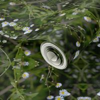 Flower Necklace