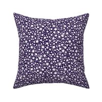 Glow in the dark stars - glowing white on dark purple