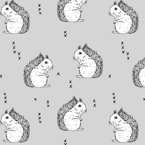 Squirrels_lightgrey SMALL scale