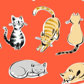 kitties on orange (large)