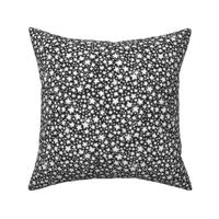 Glow in the dark stars - black and white 