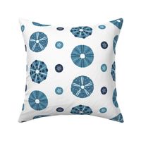 sea urchins and sand dollars (blue mix) (small)