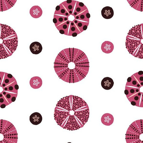 sea urchins and sand dollars (cerise mix) (small)