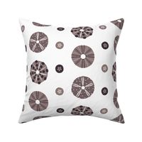 sea urchins and sand dollars (grey mix) (small)