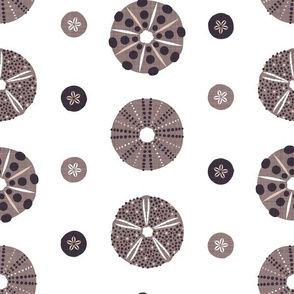 sea urchins and sand dollars (grey mix) (small)