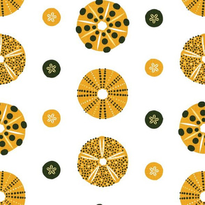 sea urchins and sand dollars (gold mix) (small)