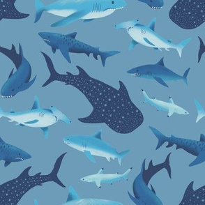 Sharks in Blue