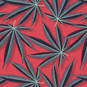 Cannabis leaves
