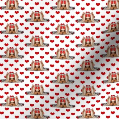 Yorkie Beauty red hearts XS