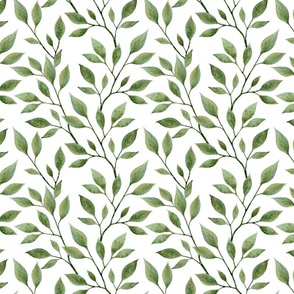 green leaves on white