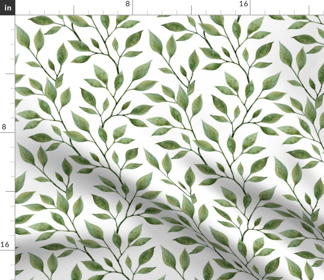 green leaves on white