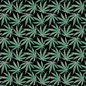 Cannabis leaves with scribble
