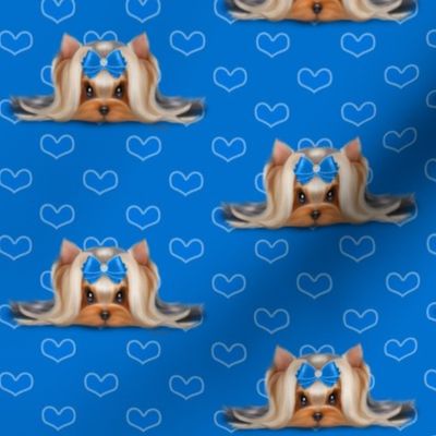 Yorkie Beauty blue hearts blue  M