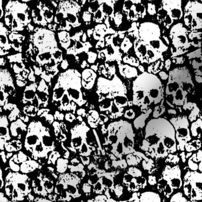 Skull Wall