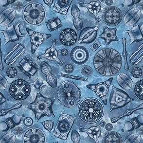 Ernst Haeckel Diatoms Dark Blue Over Blue Water