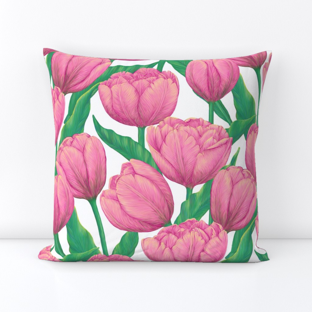 Pink tulips on white