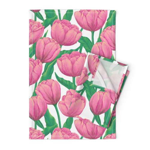 Pink tulips on white