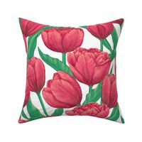 Bright red tulips - spring floral