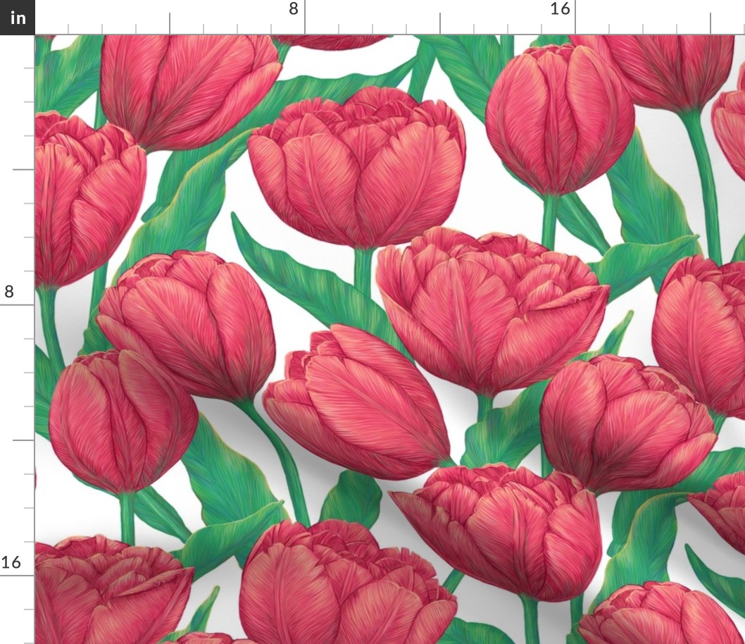 Bright red tulips - spring floral