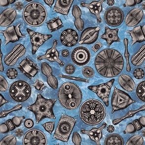 Ernst Haeckel Diatoms Lavender Grey Over Blue Water
