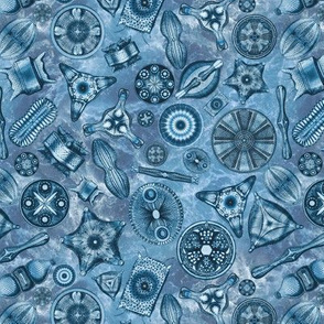 Ernst Haeckel Diatoms Teal Over Blue Water