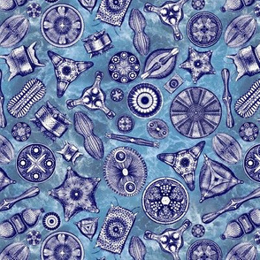 Ernst Haeckel Diatoms Quad Tone Blue Over Blue Water