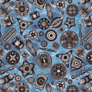 Ernst Haeckel Diatoms Aubergine Over Blue Water