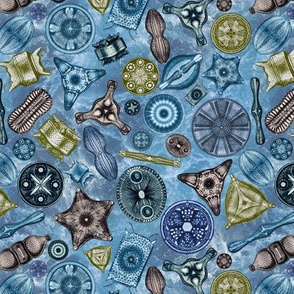 Ernst Haeckel Diatoms Lake Hues Over Blue Water