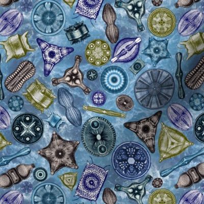 Ernst Haeckel Diatoms Sea Hues Over Blue Water